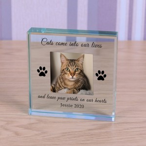 Personalised Cat Memorial Glass Token with Photo - Forever In My Heart Personalised Cat Memorial Glass Token with Photo - Forever In My Heart