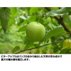 Grannicks Bitter Apple Spray Yuck Stop Dog Cat Chewing Puppy Repellent Deterrent Grannicks Bitter Apple Spray Yuck Stop Dog Cat Chewing Puppy Repellent Deterrent