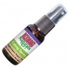KONG Catnip Spray, 30ml Concentrated Oil for Cats Irresistable Scent
