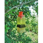 The Buzz Jaw Fly Trap Super Effective Fly Catcher, Disposable Insect Attractant