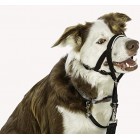 HALTI Head Collar for Dogs Black Gentle Stop Pull Dog Padded Lead Size 3 Medium