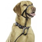 HALTI Head Collar for Dogs Black Gentle Stop Pull Dog Padded Lead Size 3 Medium