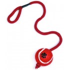 Petface Tennis Balls for dogs, throw and fetch, outdoor exercise, 12 pack Petface Tennis Balls for dogs, throw and fetch, outdoor exercise, 12 pack