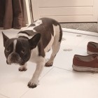 Grout Cleaner Floor Wall Bathroom Kitchen HG Ready-to-use 500 ml Tile Grout Cleaner Floor Wall Bathroom Kitchen HG Ready-to-use 500 ml Tile