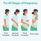 Supportiback Pregnancy Support Belt, Everlasting Comfort, Adjustable No-Slip Maternity Belt, Pregnancy Belt, Maternity Belly Band, Bump Support Band, Pregnancy Support Band, Pelvic Support Band Supportiback Pregnancy Support Belt, Everlasting Comfort, Adjustable No-Slip Maternity Belt, Pregnancy Belt, Maternity Belly Band, Bump Support Band, Pregnancy Support Band, Pelvic Support Band