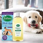 Zoflora Fresh Home Multi-purpose Concentrated Antibacterial Disinfectant, Eliminate Pet Odours 6 x 500ml Bottles - Mountain Air Fragrance