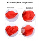 Valentines Day Decorations Hearts Latex Balloons Red Silk Rose Petals Confetti