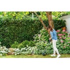 Electric Grass Trimmer Garden Lawn Heavy Duty Weed Strimmer Cutter Diameter 23cm