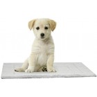 proudpet Soft Fleece Pet Mat Reversible Cat Dog Bed Cage Blanket Various Sizes Small Medium Large