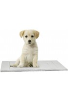 proudpet Soft Fleece Pet Mat Reversible Cat Dog Bed Cage Blanket Various Sizes Small Medium Large