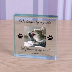 Cat Memorial Personalised Photo Upload Engraved Glass Token No Longer