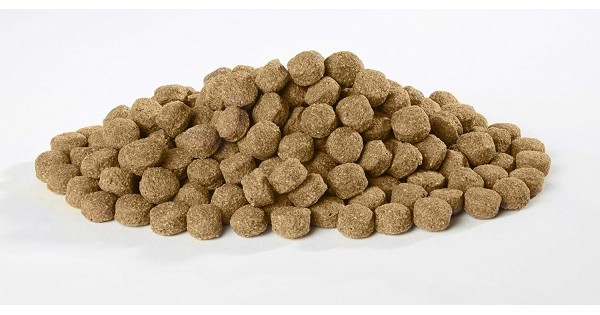 harringtons kibble