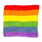 Rainbow Pride Travel Towel LGBT Flag Compressed