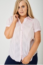 Plus Size Striped Button Up Shirt In Pink