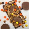 Reeses Peanut Chocolate Bar