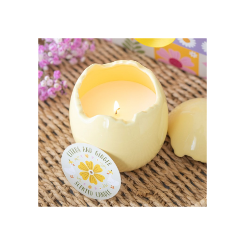 Citrus & Ginger Egg Shaped Candle Citrus & Ginger Egg Shaped Candle