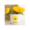 Hello Sunshine Plant Pot with 3D Sunflower