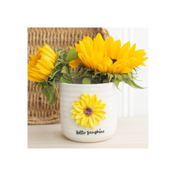 Hello Sunshine Plant Pot with 3D Sunflower Hello Sunshine Plant Pot with 3D Sunflower