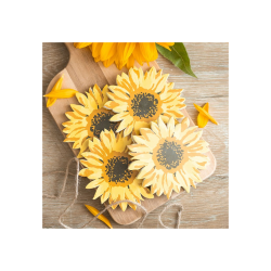 Sunflower Coaster Set Sunflower Coaster Set
