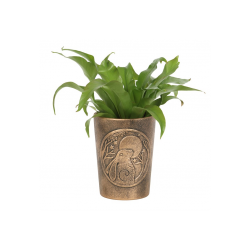 Moon Gazing Hare Bronze Terracotta Plant Pot by Lisa Parker Moon Gazing Hare Bronze Terracotta Plant Pot by Lisa Parker