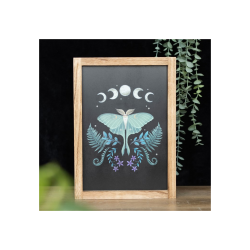 Luna Moth Wooden Framed Wall Art Luna Moth Wooden Framed Wall Art