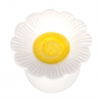 Daisy Shaped Oil Burner Daisy Shaped Oil Burner