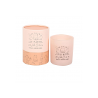 Life Is Better With Cats Vanilla Candle