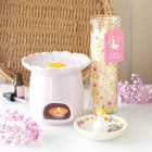 Pink Daisy Oil Burner Pink Daisy Oil Burner