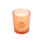 Autumn Wishes Pumpkin Pie Candle Autumn Wishes Pumpkin Pie Candle
