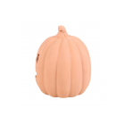 15cm Terracotta Pumpkin Ornament