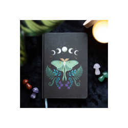 Luna Moth A5 Notebook Luna Moth A5 Notebook