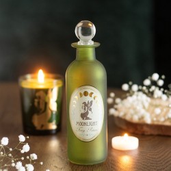Moonlight Fairy Decorative Glass Potion Bottle Moonlight Fairy Decorative Glass Potion Bottle