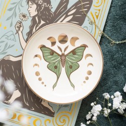 Moonphase Moth Trinket Dish Moonphase Moth Trinket Dish