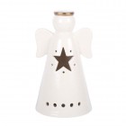 Small LED Light Up Angel Decoration with Star