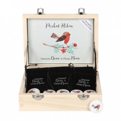 Box of 24 Pocket Robin Sentiment Stones Box of 24 Pocket Robin Sentiment Stones