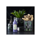 Poisonous Plants Book Shaped Vase
