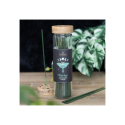 Dark Forest White Sage Incense Sticks Dark Forest White Sage Incense Sticks