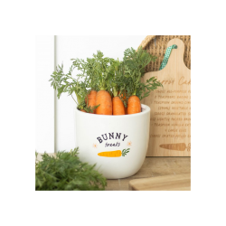 Bunny Treats Ceramic Pot Bunny Treats Ceramic Pot