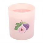 Vanilla & Fig Scented Candle