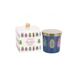 Blue Beetle Candle Blue Beetle Candle
