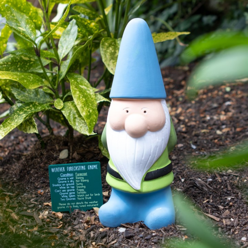 Large Weather Forecasting Gnome Large Weather Forecasting Gnome