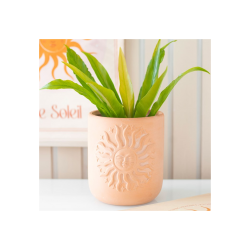Terracotta Sun Plant Pot Terracotta Sun Plant Pot