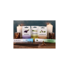Set of 12 Packets of Elements Lavender Incense Cones Set of 12 Packets of Elements Lavender Incense Cones