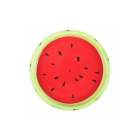 Watermelon Incense Stick Holder Watermelon Incense Stick Holder