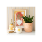 Terracotta Sun Plant Pot Terracotta Sun Plant Pot