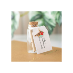 Set of 24 Robin Remembrance Message Bottles in Display Set of 24 Robin Remembrance Message Bottles in Display