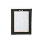 19x25cm Hanging With All My Friends Canvas Plaque by Steven Rhodes